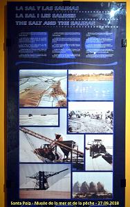 35 SANTA POLA - MUSEE DE LA MER ET DE LA PECHE (29)